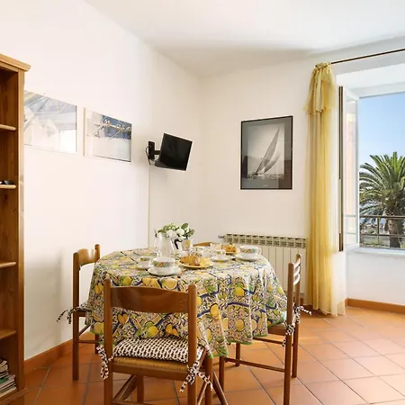 Apartman Celsi *
