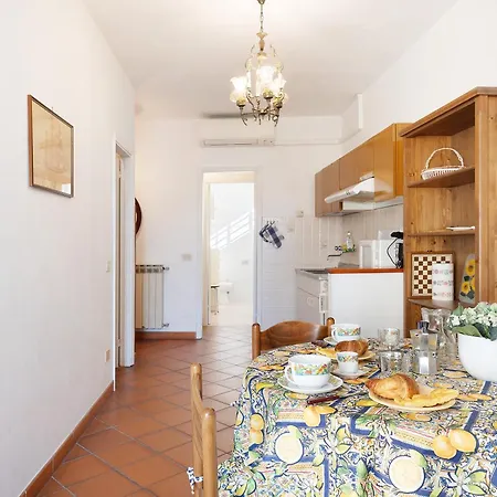 Apartment Celsi