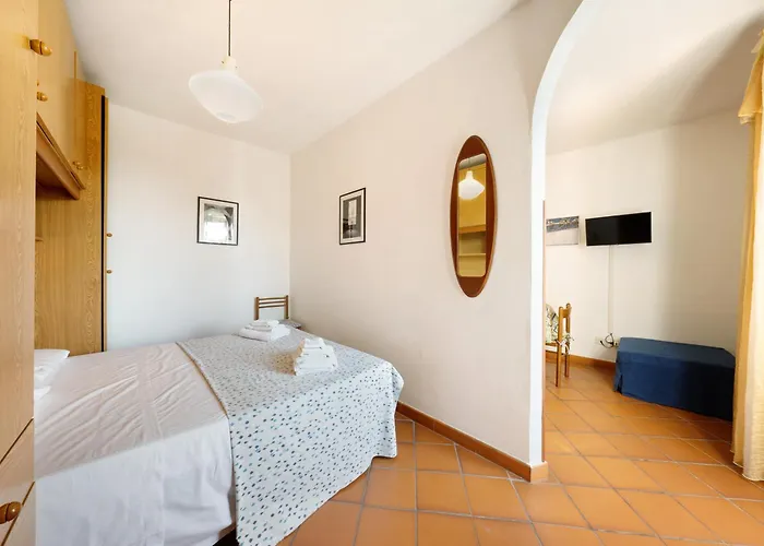 Celsi モネーリア